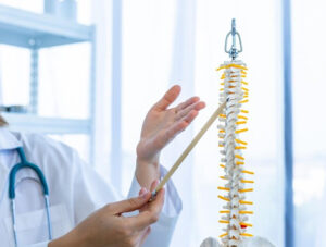 How To Choose The Best Spine Surgery Specialist